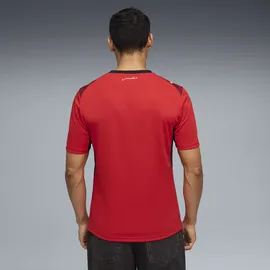 Puma Ägypten Heimtrikot (Replica) 2026 Herren Gr. L