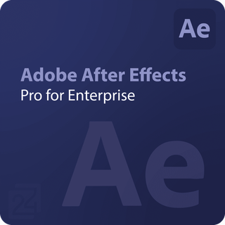 Adobe After Effects - Pro for Enterprise