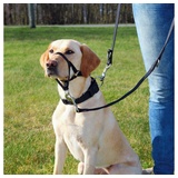 TRIXIE Top Trainer Training Harness Hund