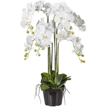 Creativ green Gasper Kunstpflanze Phalenopsis im Kunststofftopf, Farbe: Weiß, in der Höhe: 90 cm, 105801-40