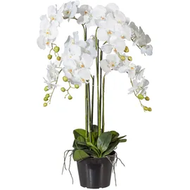 Creativ green Gasper Kunstpflanze Phalenopsis im Kunststofftopf, Farbe: Weiß, in der Höhe: 90 cm, 105801-40