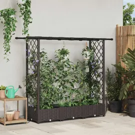 vidaXL Hochbeet mit Rankgitter und Dach 164 x 40 x 123 cm Braun