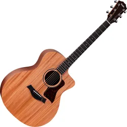 Taylor 24ce