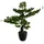 Atmosphera Künstlicher Bonsai 80 cm