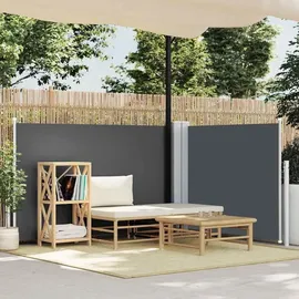 vidaXL Ausziehbare Seitenmarkise 120 x 600 cm Grau