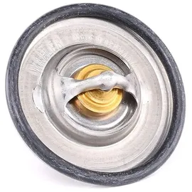 BorgWarner (Wahler) BORGWARNER Thermostat, Kühlmittel 3141.87D für VW