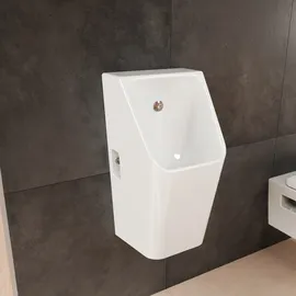 Hansgrohe EluPura Original Q (62010450)