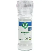 Lebensbaum Meersalz grob in Mühle bio