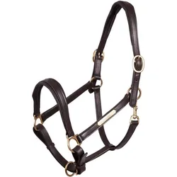 Halfter aus Leder Premiere Equitation COB