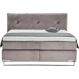 GALLERY M branded by Musterring Dubai 200 x 200 cm H2 Rosa/Lila
