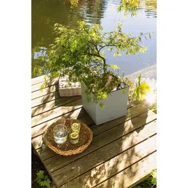 LECHUZA Canto Stone 40 low LED 40 x 40 x 40 cm steingrau