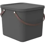 Rotho Aufbewahrungsbox Albula 40 x 36 x 34 cm 1-tlg. anthrazit