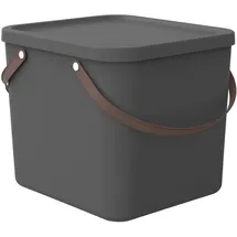 Rotho Aufbewahrungsbox Albula 40 x 36 x 34 cm 1-tlg. anthrazit