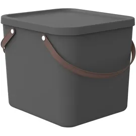 Rotho Aufbewahrungsbox Albula 40 x 36 x 34 cm 1-tlg. anthrazit