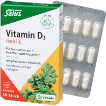 SALUS Vitamin D3 1000 I.E. vegan Kapseln Salus