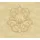 Architects Paper Nobile Vliestapete 70 cm x 10 m 300 g gelb/gold 969835