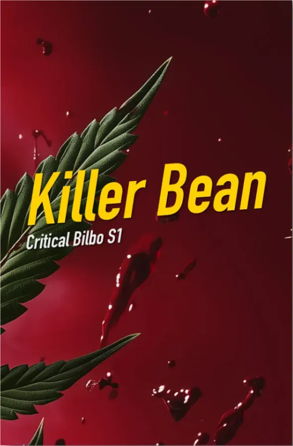 Dope Seeds Killer Bean 6 Samen