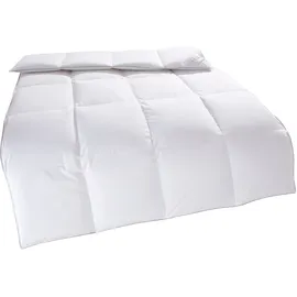Home Affaire Daunenbettdecke HOME AFFAIRE "Tamins, Bettdecke 135x200 cm, 155x220 cm, Made in Germany", weiß, B:135cm L:200cm, Bezug: 100% Baumwolle. Füllung: 100% Daunen, Bettdecken, Sommer, Winter, Decke, Made in Germany, Allergiker geeignet (NOMITE)