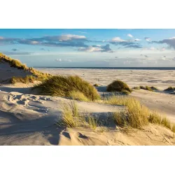Fototapete PAPERMOON "DÜNEN-AMRUM NORDSEE STRAND MEER INSEL HOLSTEIN GRAS XXL", bunt, B:2,50m L:1,86m, Vlies, Tapeten