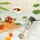 Kuvings Mixpro1000 Stabmixer