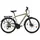 Dacapo Firenze 300 28 Zoll RH 53 cm Herren Bronze