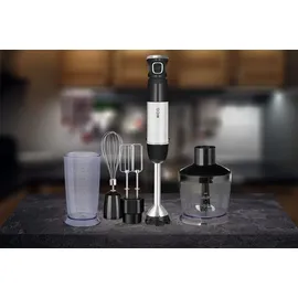 ECG RM 800 Stabmixer