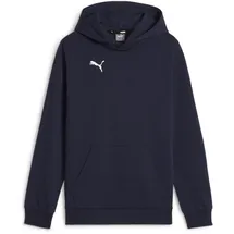 Puma Teamgoal Navy/White 116
