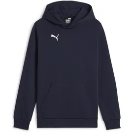 Puma Teamgoal Navy/White 116