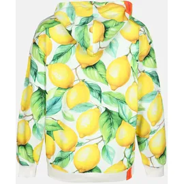 salzhaut Hoodie BARCH Mehrfarbig XXL