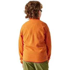 Dare 2b Dare2b Switch Out Mid Fleece Mit Durchgehendem Reißverschluss - Burnt Orange - 3-4 Jahre