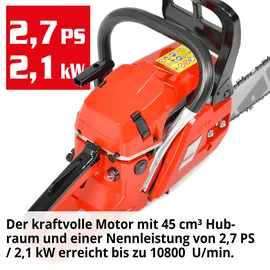 Hecht / 47 cm