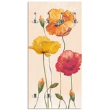 Artland Garderobenleiste »Bunte Mohnblumen«, 91423767-0 naturfarben B/H/T: 60 cm x 120 cm x 2,8 cm,