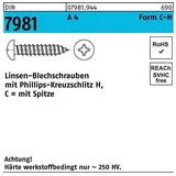Industrial Quality Supplies ISO 7049 Form C Linsenkopf-Blechschraube VG 3,9x13 Edelstahl A4 blank PH