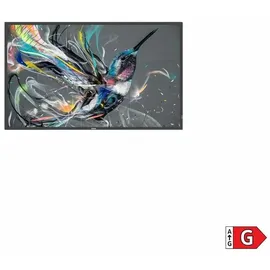 Philips Q-Line 65BDL3511Q/00 55"