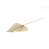 NaDeco Palmenblatt 'Speer', groß, Breite ca. 20-25cm, Länge ca. 45-60cm | Palm Spear Mini | Palmenblatt | Palmenwedel | Palmenzweig | Beachbar-Deko | Beachclub-Deko | Strandbar-Deko | Boho-Style | Boho-Deko