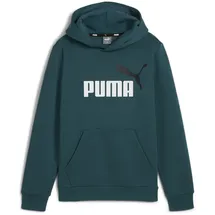 Puma Ess+ Metallic 2 Col Big Logo Fleece-Hoodie Jungen 08 cold green 152