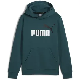 Puma Ess+ Metallic 2 Col Big Logo Fleece-Hoodie Jungen 08 cold green 152