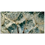 Artland Glasbild »Pusteblume Regenschauer«, Blumen, (1 St.), grau