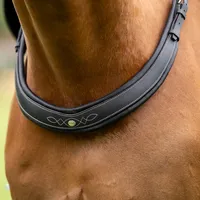 Kavalkade Jerome 2-PT schwarz COB