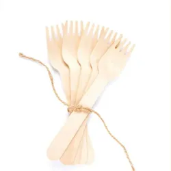 Ekoe Plastic Free Solutions Ekoe Ökologische Einweg-Holzgabel 16,5 cm 1000 Stk