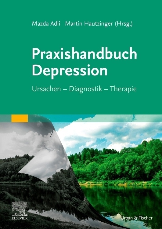 Praxishandbuch Depression  Kartoniert (TB)