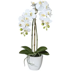 Kunstpflanze CREATIV GREEN "Orchidee Phalaenopsis", weiß, H:43cm, Kunststoff, Kunstpflanzen, im Keramiktopf
