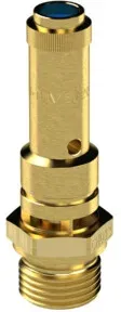 Riegler Sicherheitsventil DN 8, Messing, G 1/4, Ansprechdruck 0,5 bar