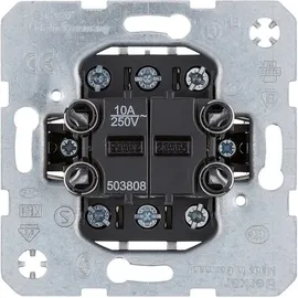 Berker Taster 503808