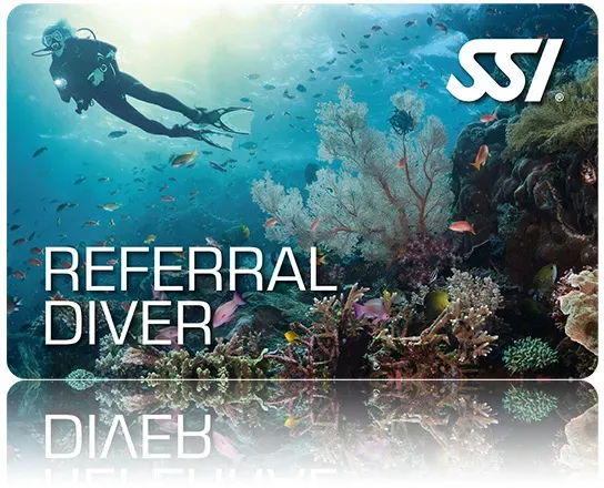 Referral Diver - OWD Theorie & Pool Ausbildung