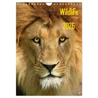 Calvendo Wildlife 2026 (Wandkalender 2026 DIN A4 hoch), CALVENDO