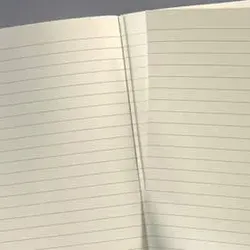 Notizbuch ca. A5 liniert schwarz CONCEPTUM CO663 Red Edition