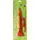 Vedes Kindertrompete 27 Zentimeter  rot