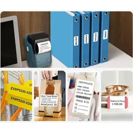 Niimbot B1 wireless label printer (LakeBlue)