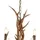 Searchlight 6416-6BR STAG Hängeleuchte E14 6x7W